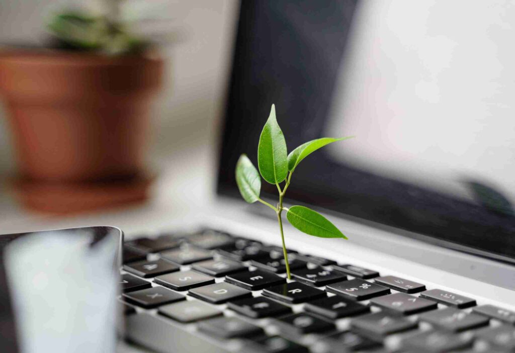 siti web sostenibili siti web sostenibili eco friendly